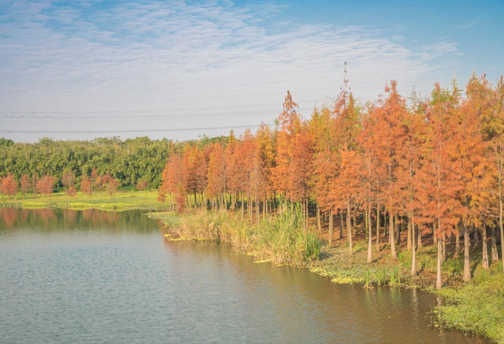 不止“村BA”！东莞10条好看好逛的线路，本地人也爱去