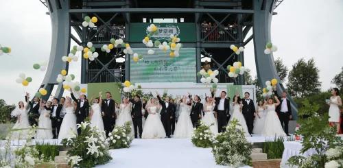 沈北新区稻田画引客来,最大的稻田画沈北新区