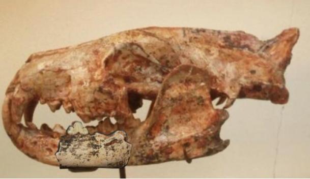 氾在古代是哪里,苏州三山岛文化