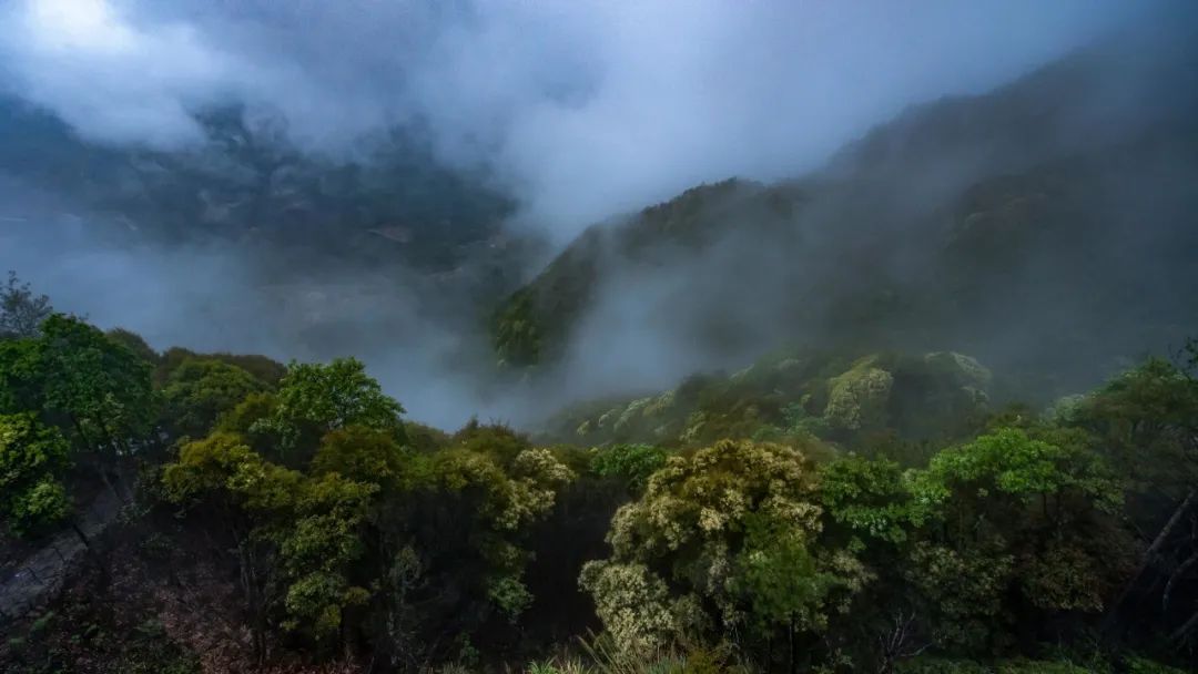 五色乡记疏|闽声专栏