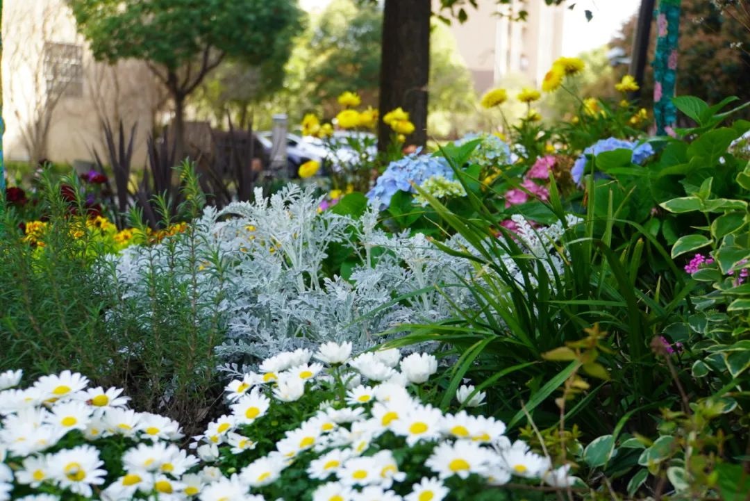 上海莫奈花园风景,莫奈花园清新甜美仙气浪漫