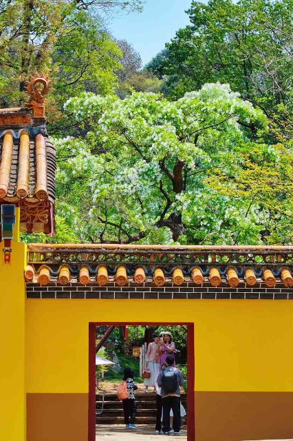 开屏广告的策划,开屏最新创意广告合集