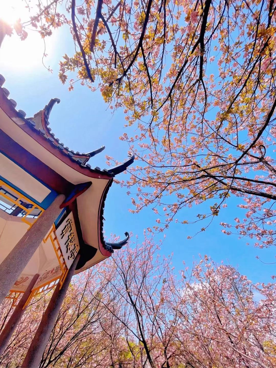 如何一天逛湖南的大学,假期去大学转转