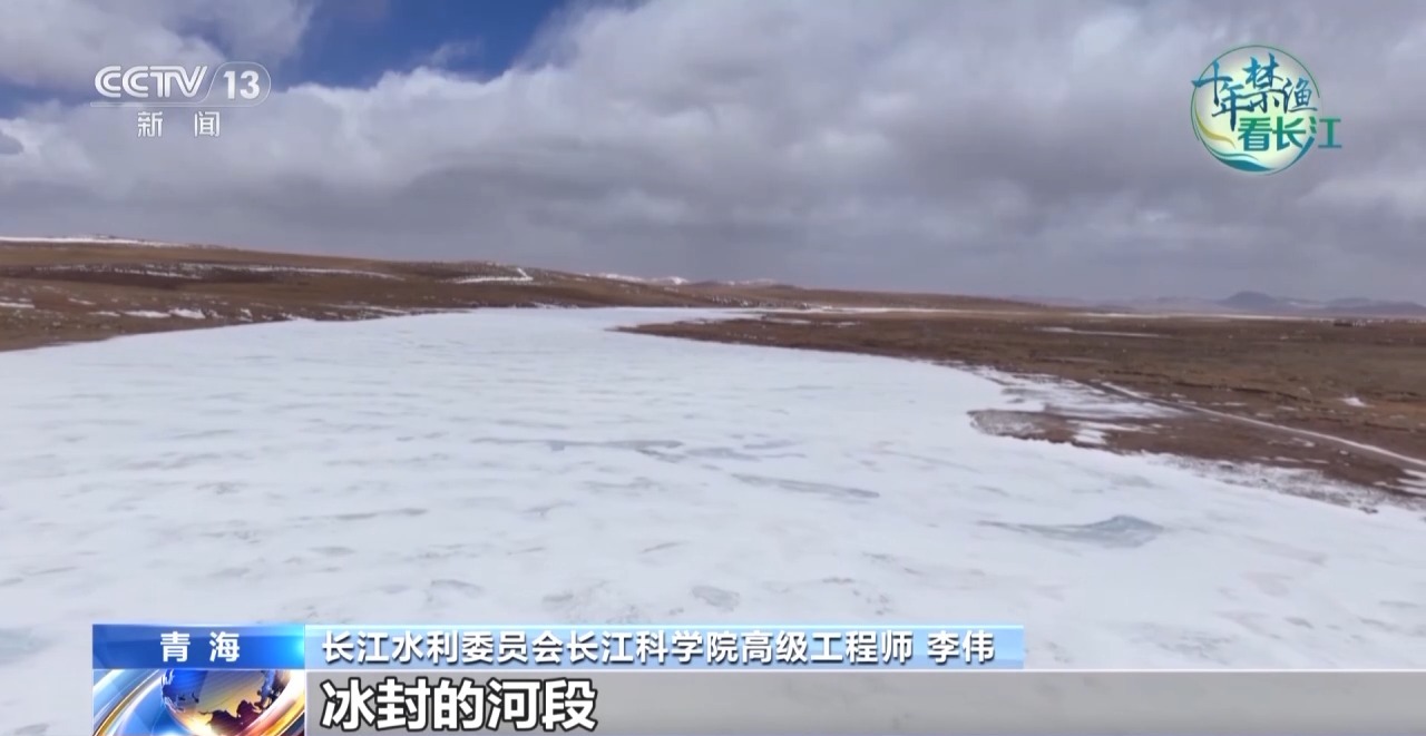 长江禁渔鱼类数据变化,长江禁渔三年多鱼儿们过得怎么样