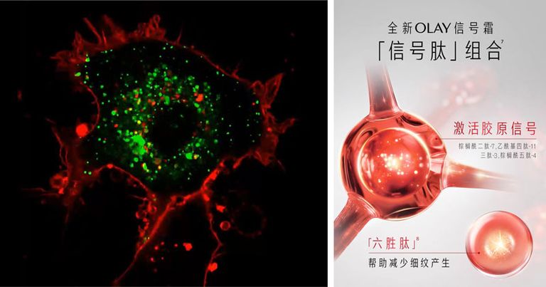 olay光感霜,olay超红瓶信号肽测评