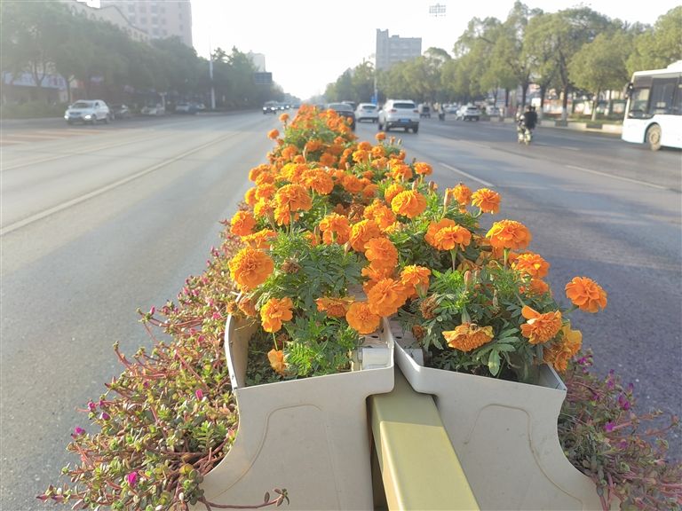 环境卫生红黑榜美篇,环境卫生怎么保持