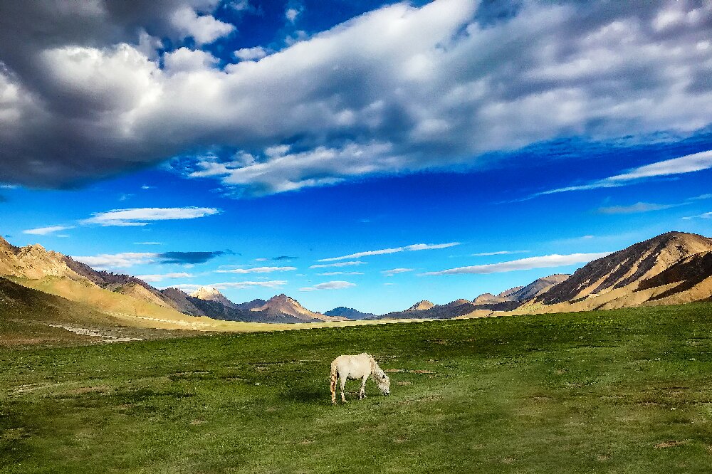 金色世界摄影,金色世界文创