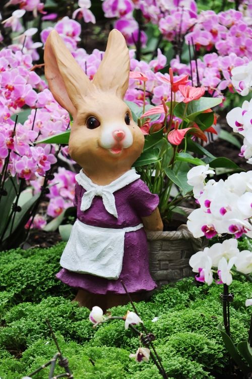 微单专业性价比最高最强相机,最新性价比最高微单相机