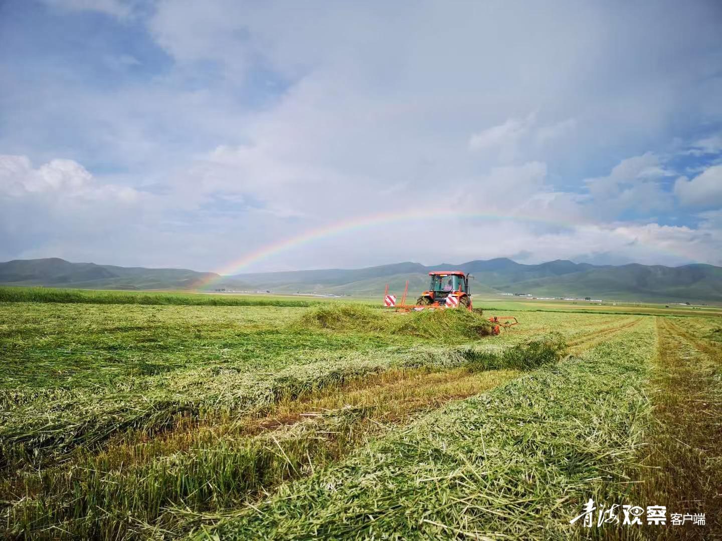 昔日的农田,昔日良田变湖泊