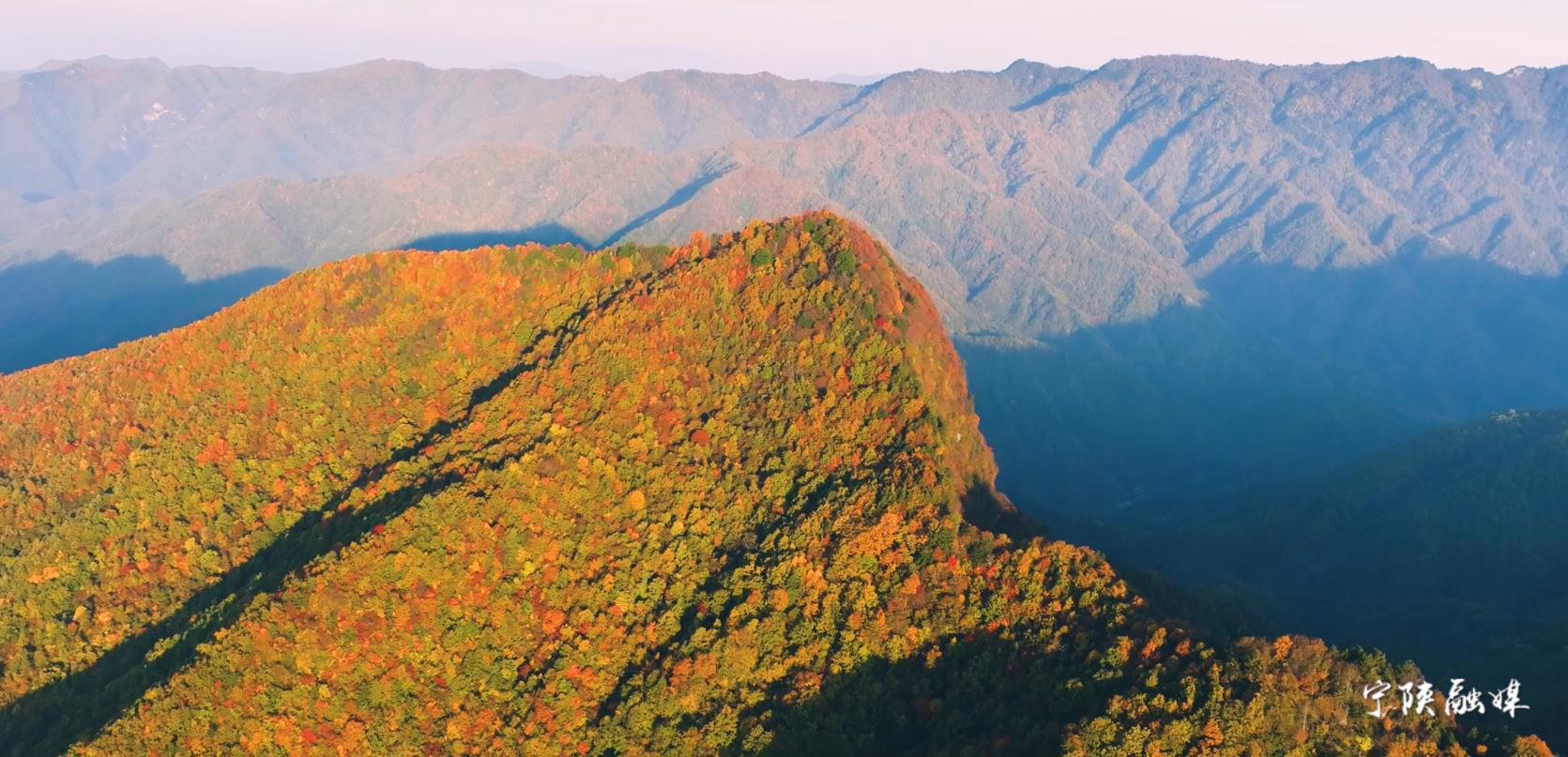 秦岭里面野生山货,秦岭深山老林特产