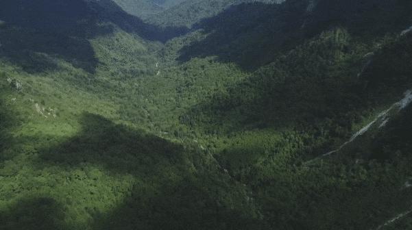 筑牢森林消防安全防火墙,筑牢森林防火安全防线