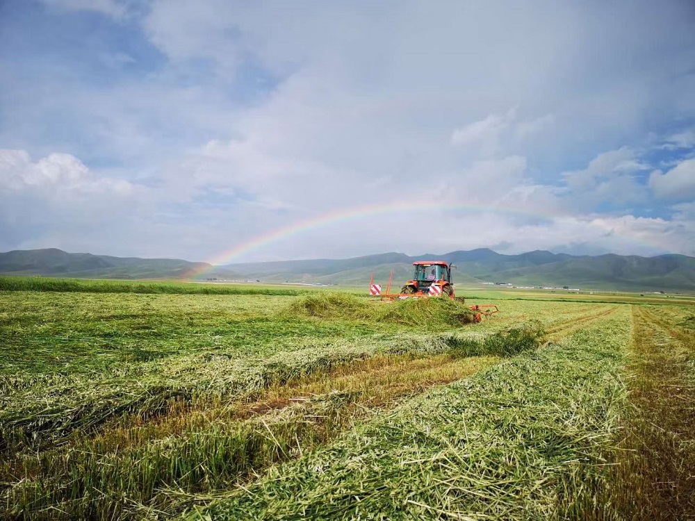 昔日荒地变成大棚房,昔日农田大变城市