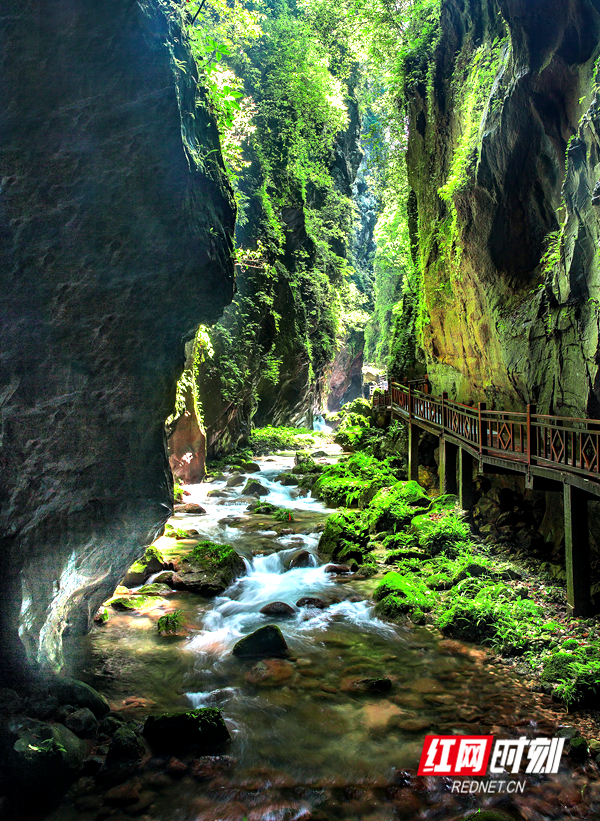 张家界冬季游玩冷吗,张家界温泉旅游攻略