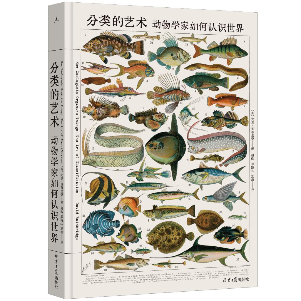 书荐丨《分类的艺术：动物学家如何认识世界》——一部艺术化的动物分类发展史，256幅图像讲述动物学家如何认识世界