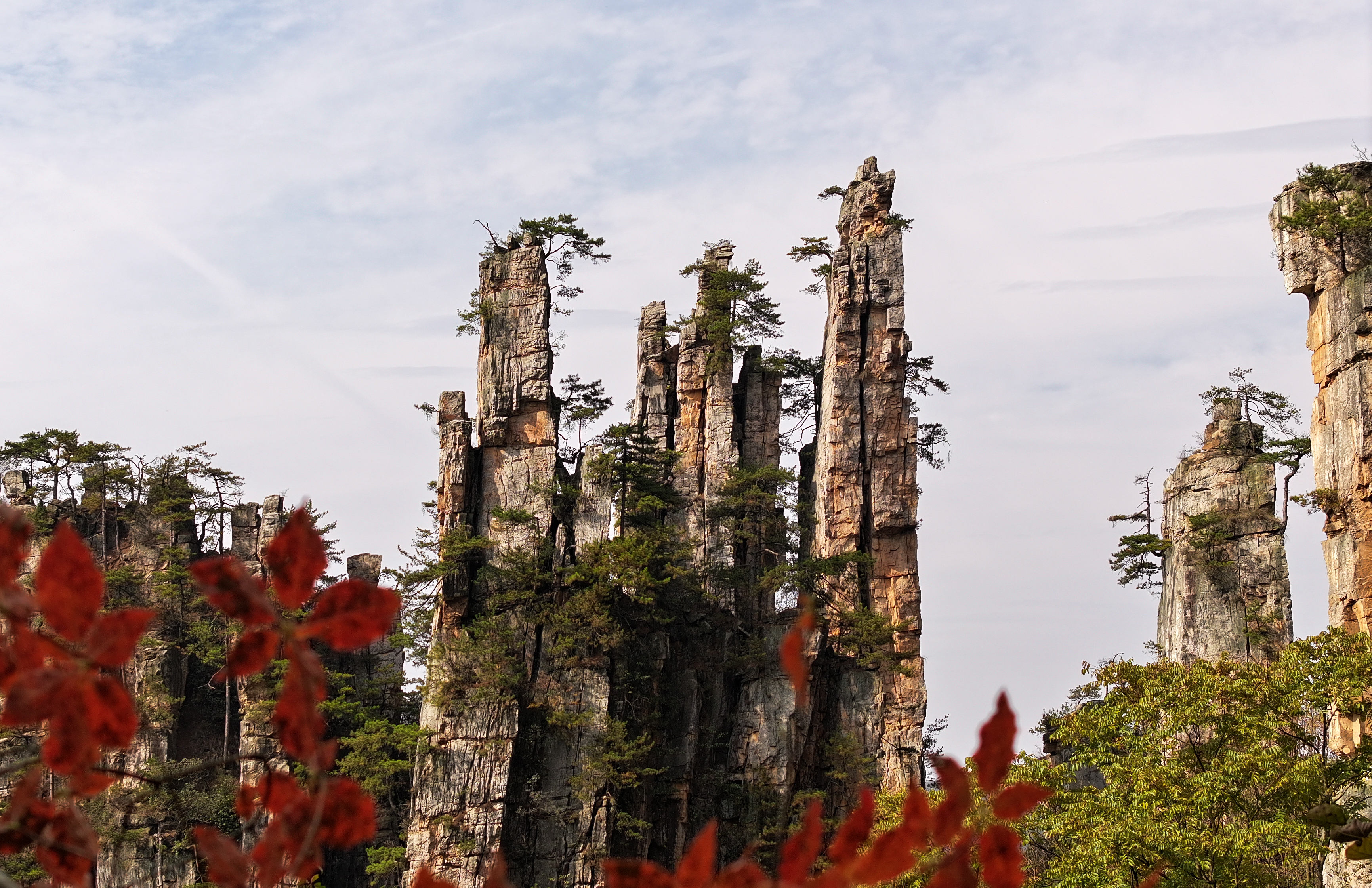 寒冷冬天美景如画,环境美景欣赏