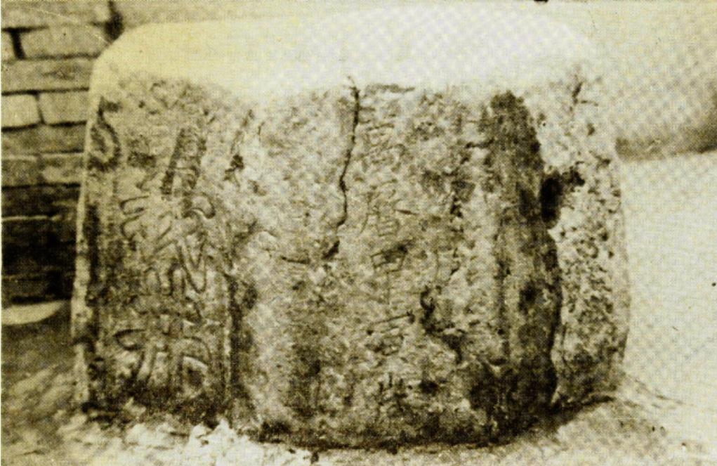 闵行这座桥“废了”？未来或重显风采丨乃清叙史